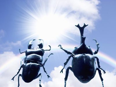 年末年始はクイズを楽しもう！ 親子でチャレンジしてちょっと賢くなっちゃおう