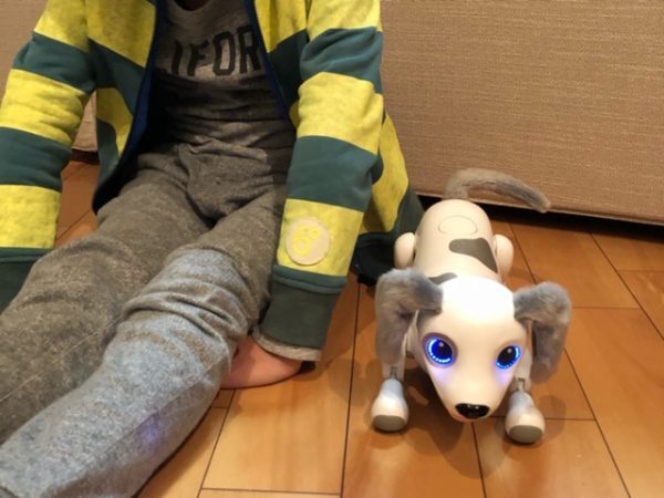 ペットは飼いません！そんなわが家にロボット犬がやってきた