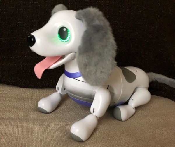 ペットは飼いません！そんなわが家にロボット犬がやってきた