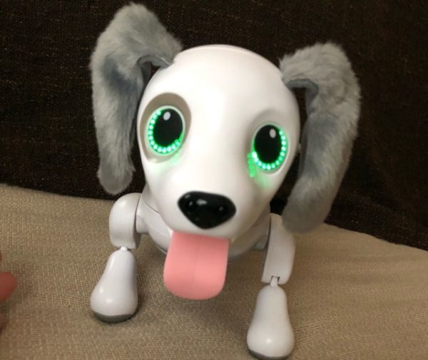 ペットは飼いません！そんなわが家にロボット犬がやってきた