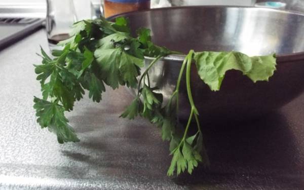 しおれた葉物野菜がシャキッと復活！鮮度が続く保存法も