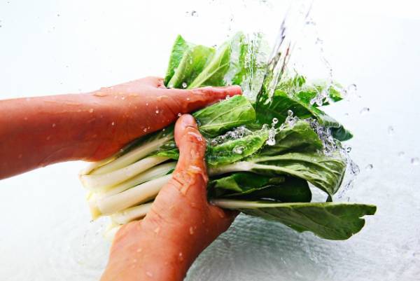 しおれた葉物野菜がシャキッと復活！鮮度が続く保存法も