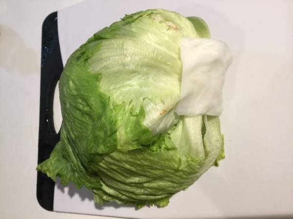 しおれた葉物野菜がシャキッと復活！鮮度が続く保存法も