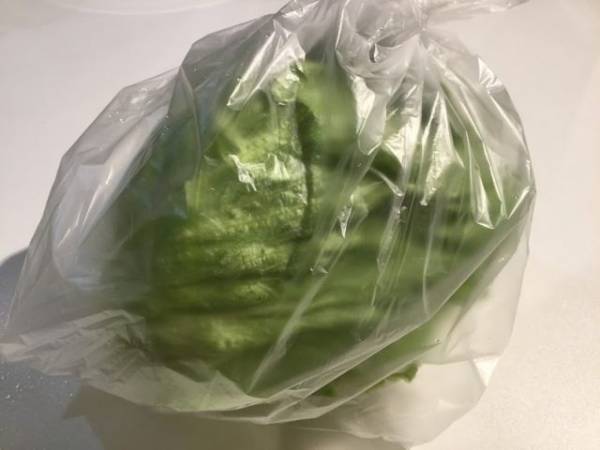しおれた葉物野菜がシャキッと復活！鮮度が続く保存法も