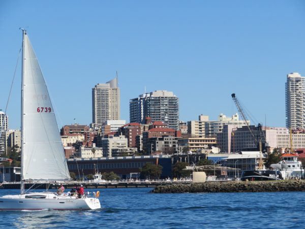 優雅どころか…夫の海外赴任に子連れで行った妻のサバイバル術