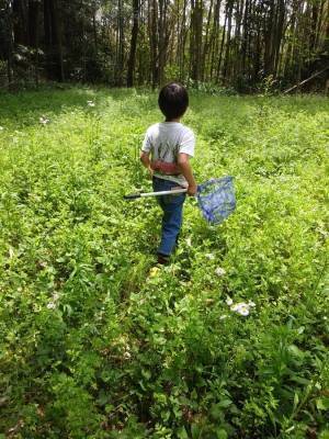 虫嫌いの私が昆虫博士の息子と過ごして見えてきたこと