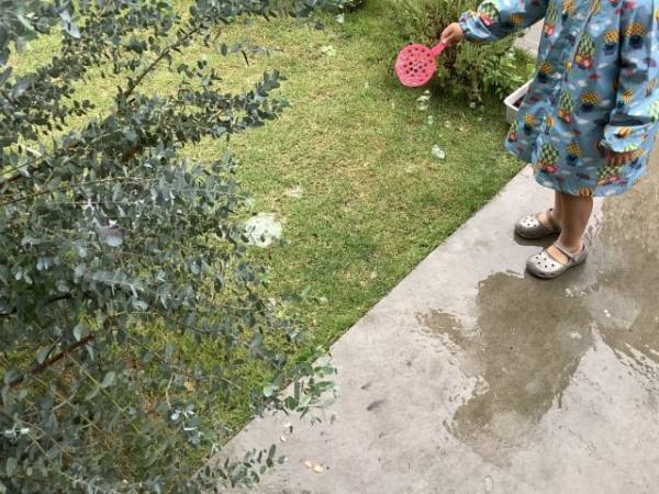 ️雨の日こそシャボン玉！割れにくいから楽しめる