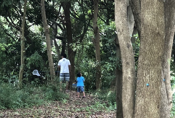 虫が大嫌いな母VS虫にハマる息子！ひと夏の経験で訪れた変化とは