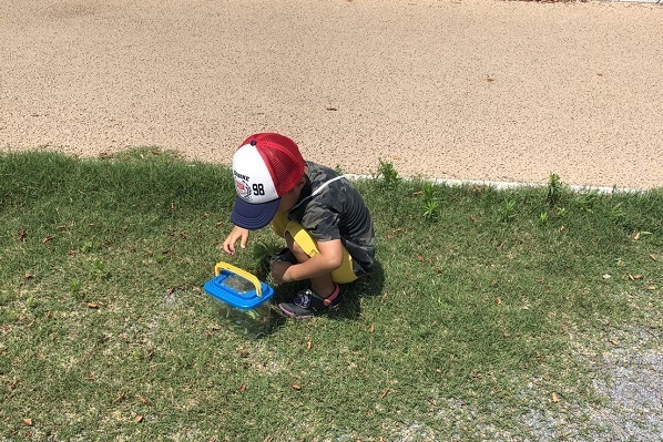 虫が大嫌いな母VS虫にハマる息子！ひと夏の経験で訪れた変化とは