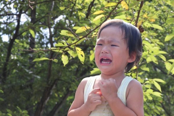 早く終われー！魔の2歳児「イヤイヤ期」にヘトヘトならぜひ読んで