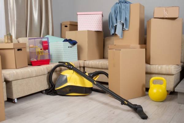 秋にやっておくべきゴキブリ対策3つ！夜の洗濯物にも注意