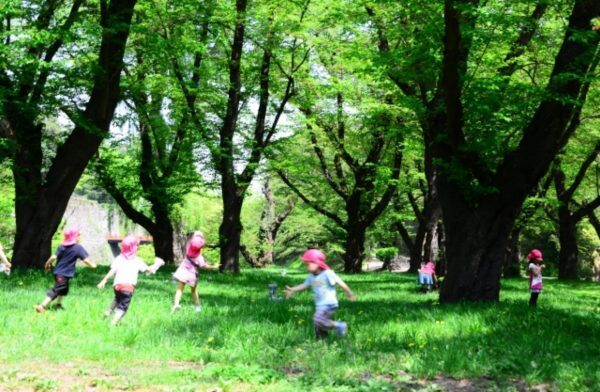 保育園すべて落ちた…わが家の失敗談と保活チェックポイント