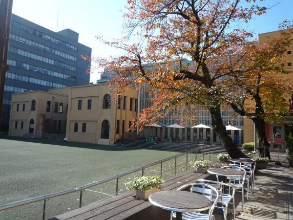 絵本専門士が教える！一度は行きたい絵本だらけの図書館