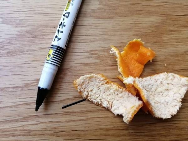「みかんの皮」は捨てないで！料理や掃除に7つの活用法
