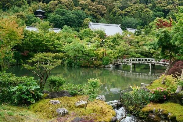 アラサー女子、感動。夏のひんやり京都旅で仏像＆アート鑑賞したら最高だった話