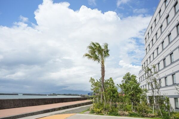 桜島も道の駅も！　海沿いに立つホテルを拠点に楽しむ鹿児島ドライブ旅