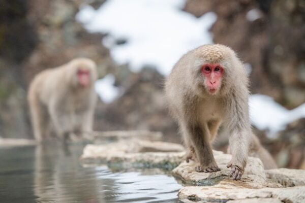 何でゆず湯に入るのか知ってる？　基本の入り方を先取りチェック　