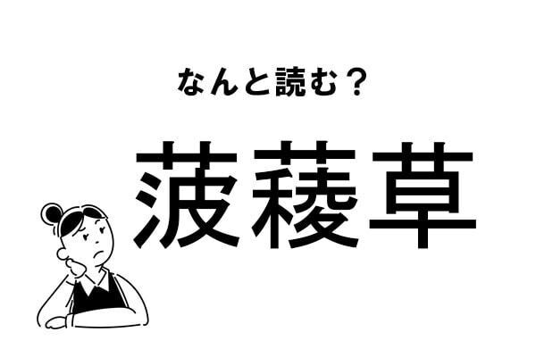 【難読】なんの草？「菠薐草」の正しい読み方