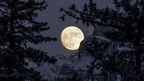 【今日は満月】コールドムーンが持つスピリチュアルメッセージ