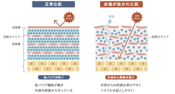 タイパ・コスパを叶える。純正重炭酸シャワー「WELL SHOWER」誕生