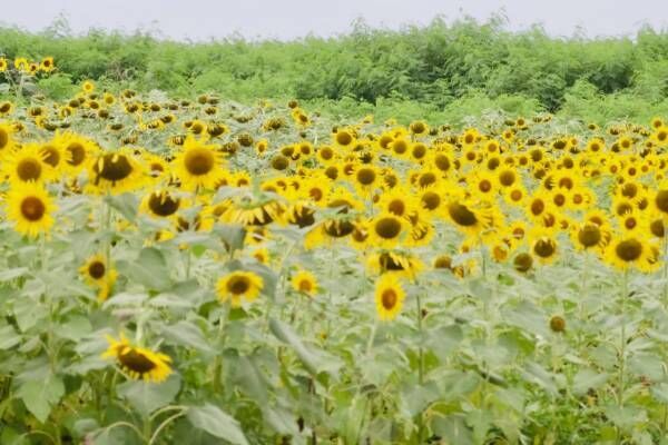 海だけじゃなかった!!　宮古島旅で見つけた絶対に行くべき「宮古島おすすめスポット」5選