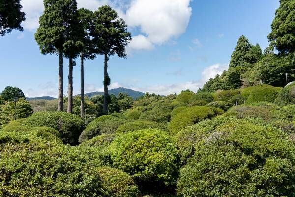 湖畔でのんびりティータイム。“優雅な箱根”を楽しめる「小田急 山のホテル」