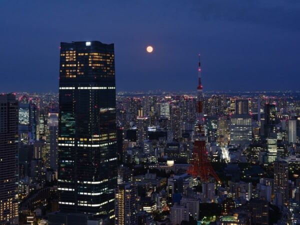 秋の夜長に。六本木ヒルズ展望台、天空のお月見「いとエモし。」を開催