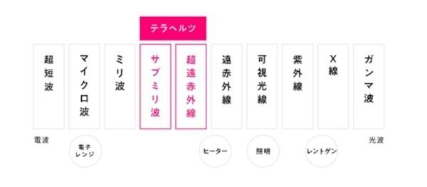 温活できる吸水ショーツ。「ベア サーマルエア ショーツ ハイライズ」が誕生