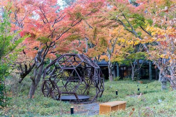 冬の温泉×アイス＝至福。「界 鬼怒川」で楽しむ“湯上がりパピコ”が最高だった