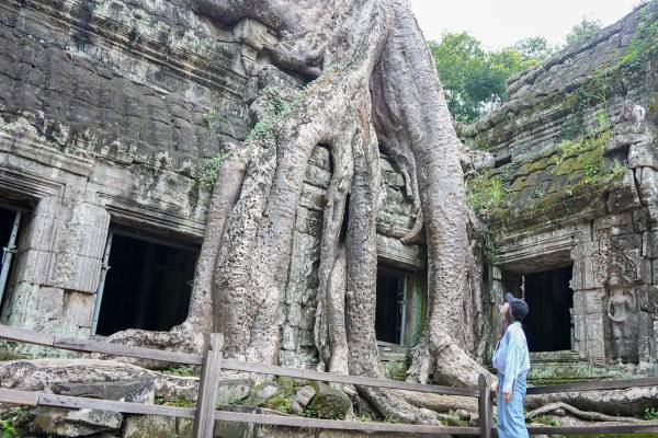 ガジュマルの木が寺院をのみこむ!?　カンボジアで400年以上放置された都が圧巻だった