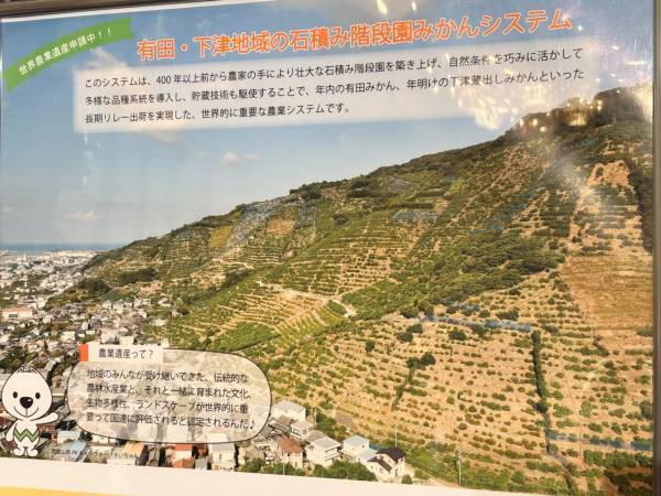 グルメ好き女子も唸る！　食品ブランドが大集結した「おいしい博覧会」で見つけた注目商品3選