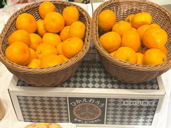 グルメ好き女子も唸る！　食品ブランドが大集結した「おいしい博覧会」で見つけた注目商品3選