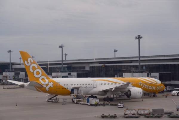 オトクにシンガポール旅行を楽しみたい人必見！　航空会社「スクート」が“LCCの概念”を超えてきた