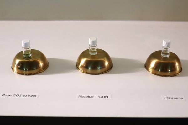 ランコムから「アプソリュPDRN」配合クリームが新発売。美容医療着想でハリあふれる美しさへ