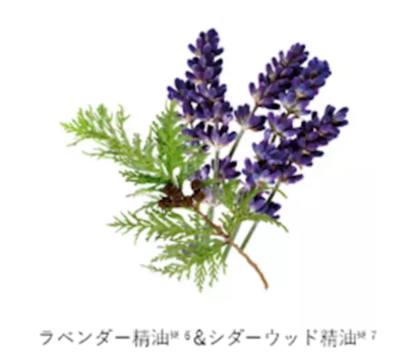 マツキヨ「アルジェラン」初のフェムケア商品！　デリケートゾーン用泡ソープ登場