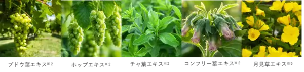 マツキヨ「アルジェラン」初のフェムケア商品！　デリケートゾーン用泡ソープ登場