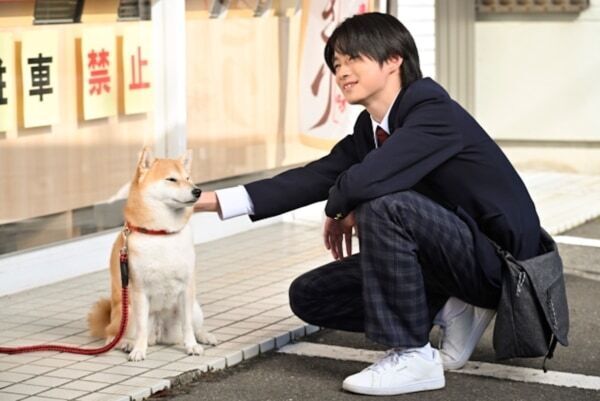 安田顕が柴犬の声を担当。お散歩コメディー『今日のさんぽんた』がFODで配信