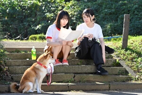 安田顕が柴犬の声を担当。お散歩コメディー『今日のさんぽんた』がFODで配信