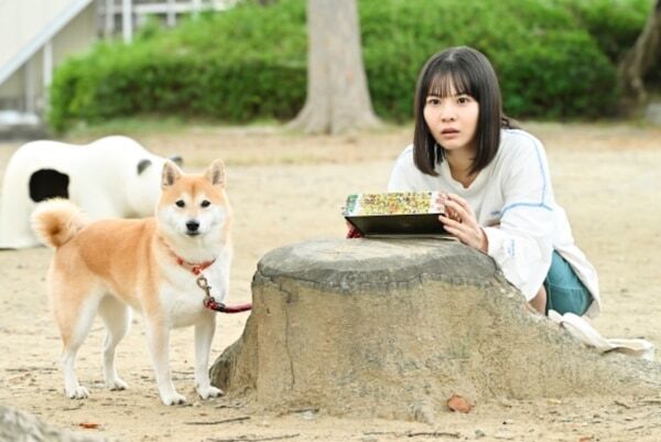 安田顕が柴犬の声を担当。お散歩コメディー『今日のさんぽんた』がFODで配信