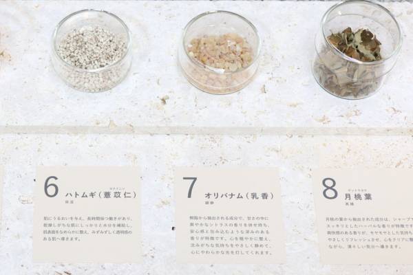 コーセーから新シリーズ「雪肌精 BLUE」「Prédia BLUE」が誕生！　肌に、心に、そして地球に新たな美を提案