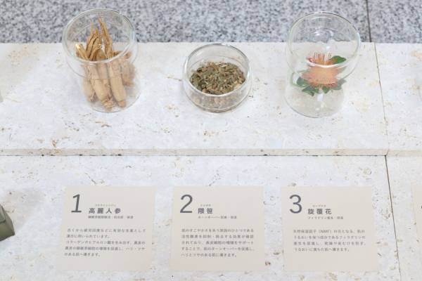 コーセーから新シリーズ「雪肌精 BLUE」「Prédia BLUE」が誕生！　肌に、心に、そして地球に新たな美を提案