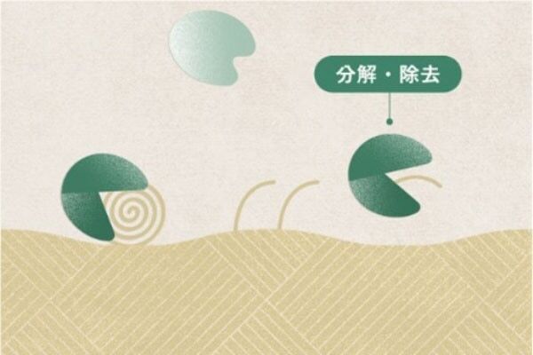 お気に入りの服が“洗濯”で復活⁉　I-neから、再生柔軟剤「ReWEAR」が誕生