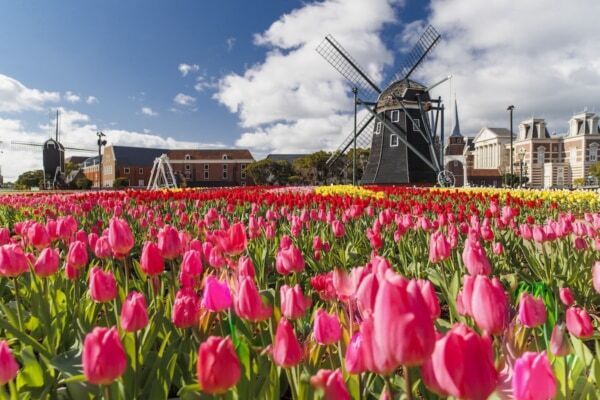 ミッフィーの新パレードも！　ハウステンボス、春の“絶景”イベントを開催