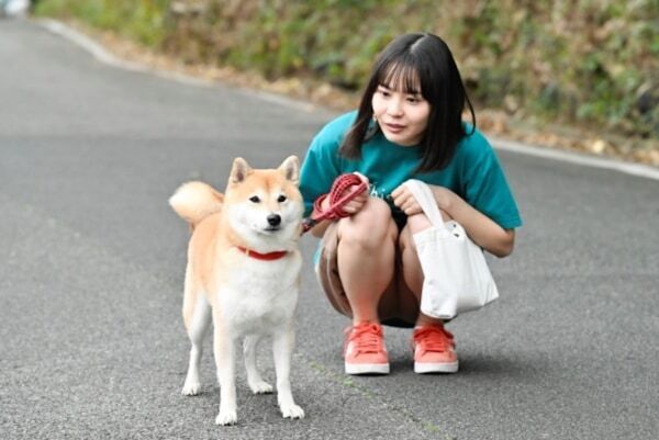 飼い主ボケて、犬ツッコむ。ドラマ『今日のさんぽんた』が地上波放送決定！