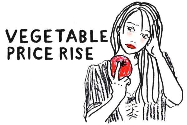 今後、野菜の価格は安定する？　食材の価格高騰が続く中でもヘルシーに自炊をする方法