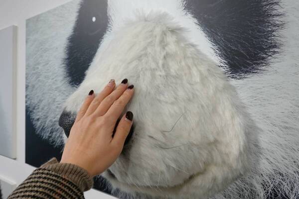 花粉症の強い味方、あの鼻セレブから初のスキンケアラインが登場。『愛でたい鼻展』で心もお肌も癒やされてきた