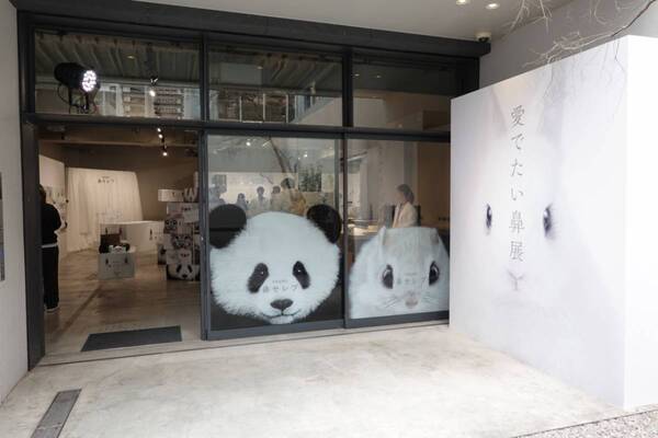 花粉症の強い味方、あの鼻セレブから初のスキンケアラインが登場。『愛でたい鼻展』で心もお肌も癒やされてきた