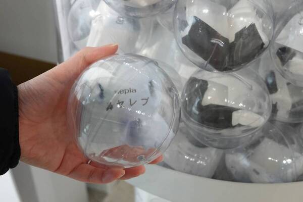 花粉症の強い味方、あの鼻セレブから初のスキンケアラインが登場。『愛でたい鼻展』で心もお肌も癒やされてきた