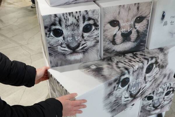 花粉症の強い味方、あの鼻セレブから初のスキンケアラインが登場。『愛でたい鼻展』で心もお肌も癒やされてきた