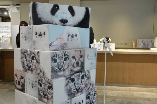 花粉症の強い味方、あの鼻セレブから初のスキンケアラインが登場。『愛でたい鼻展』で心もお肌も癒やされてきた